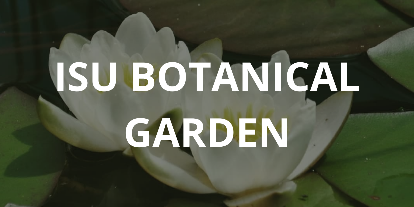 Botanical%20garden%20