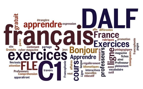 delfdalf__actu__copy.jpg