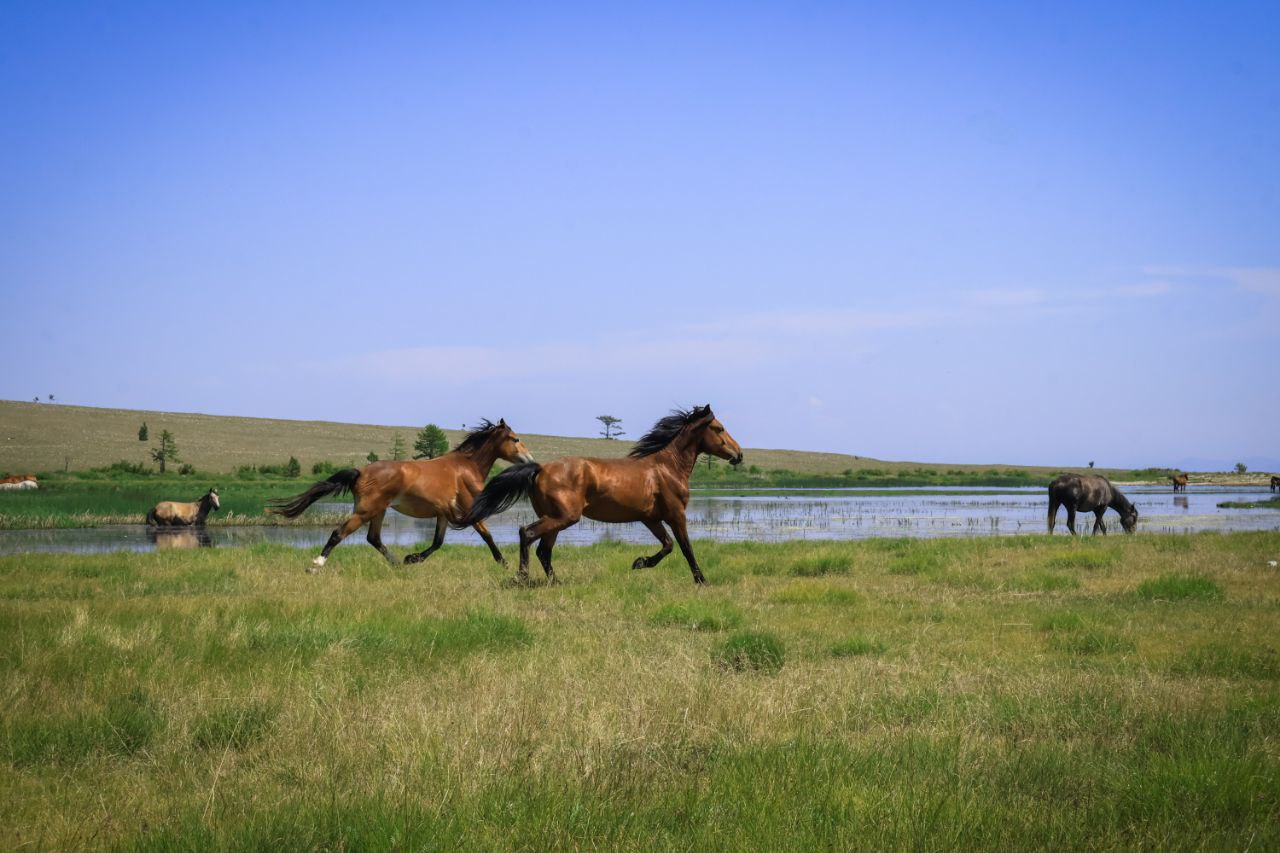 photo_2025-11-06_13-29-29