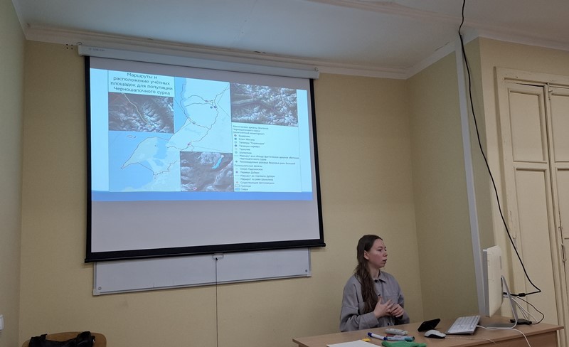 Елена Савостьянова