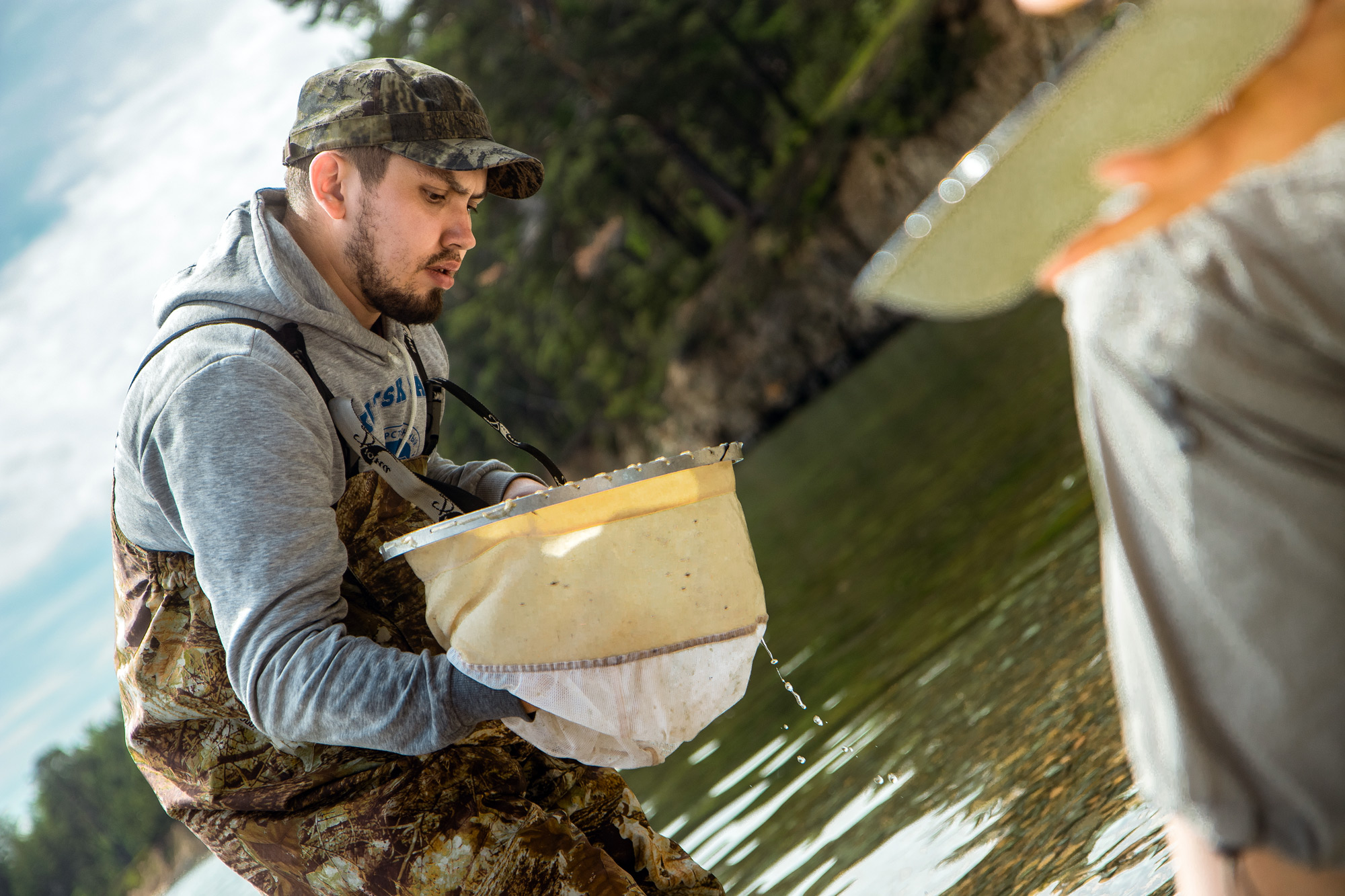 Отбор проб водных обитателей для проведения анализа