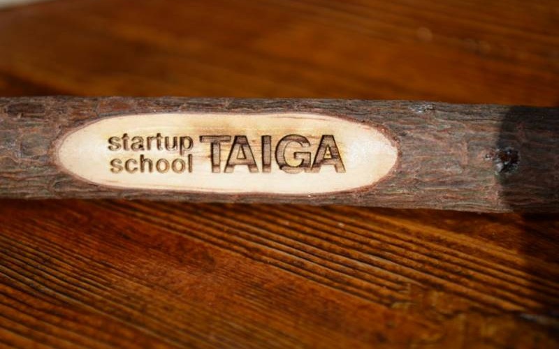Taiga.jpg